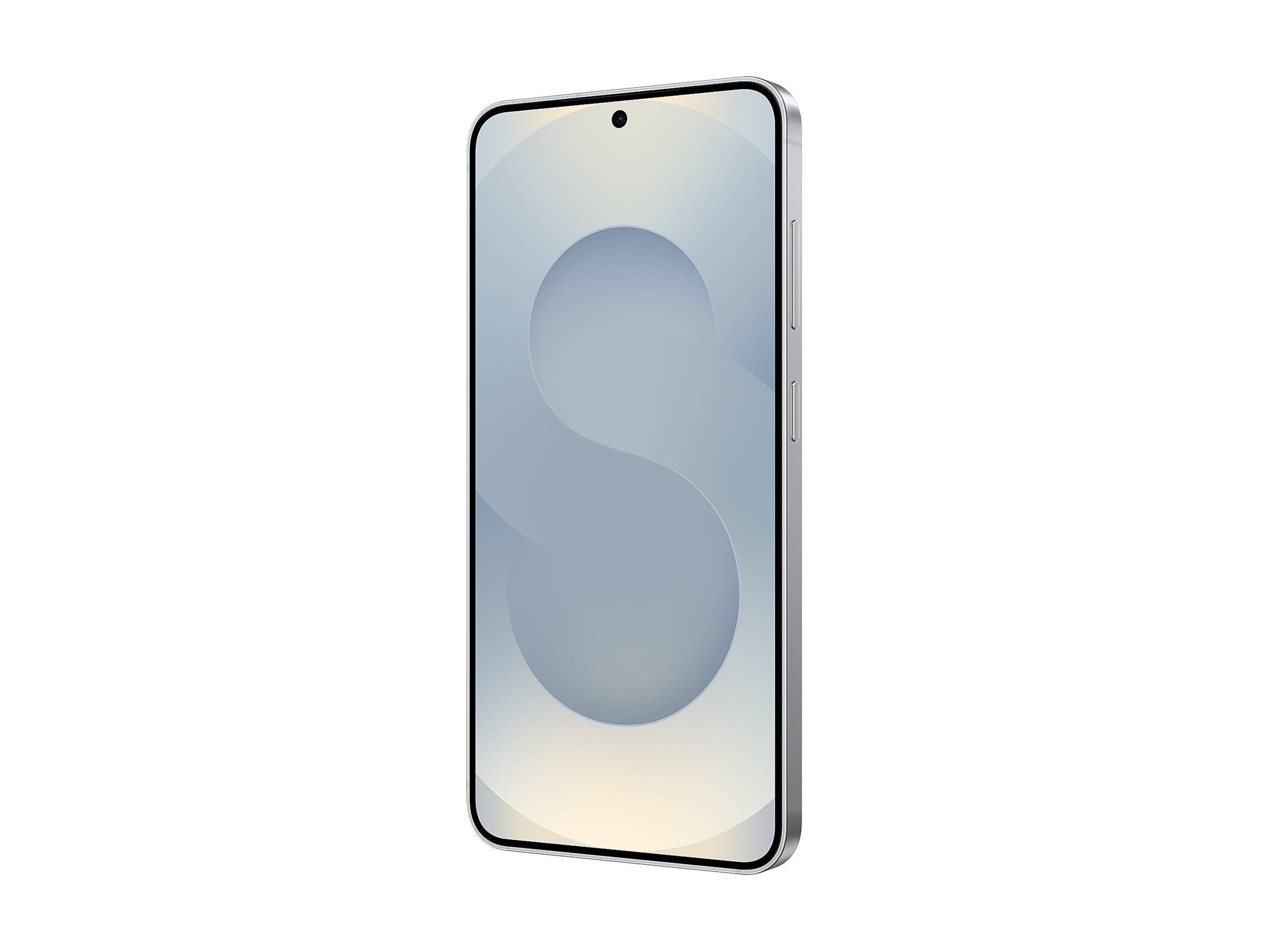 Samsung Galaxy S25 128GB - Enterprise edition - Silver shadow